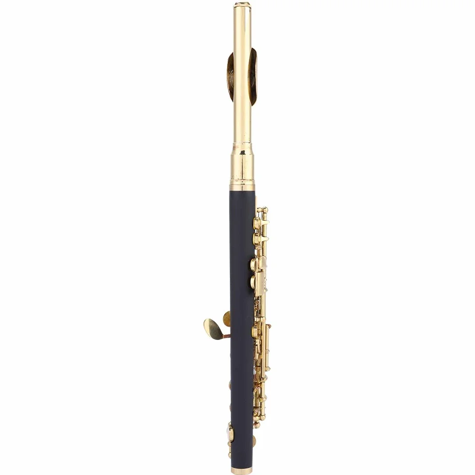 Piccolo Ottavino in Chiave di C con Finitura Placcata, Ideale per Principianti e Professionisti, Include Custodia Imbottita – Qualità Eccellente