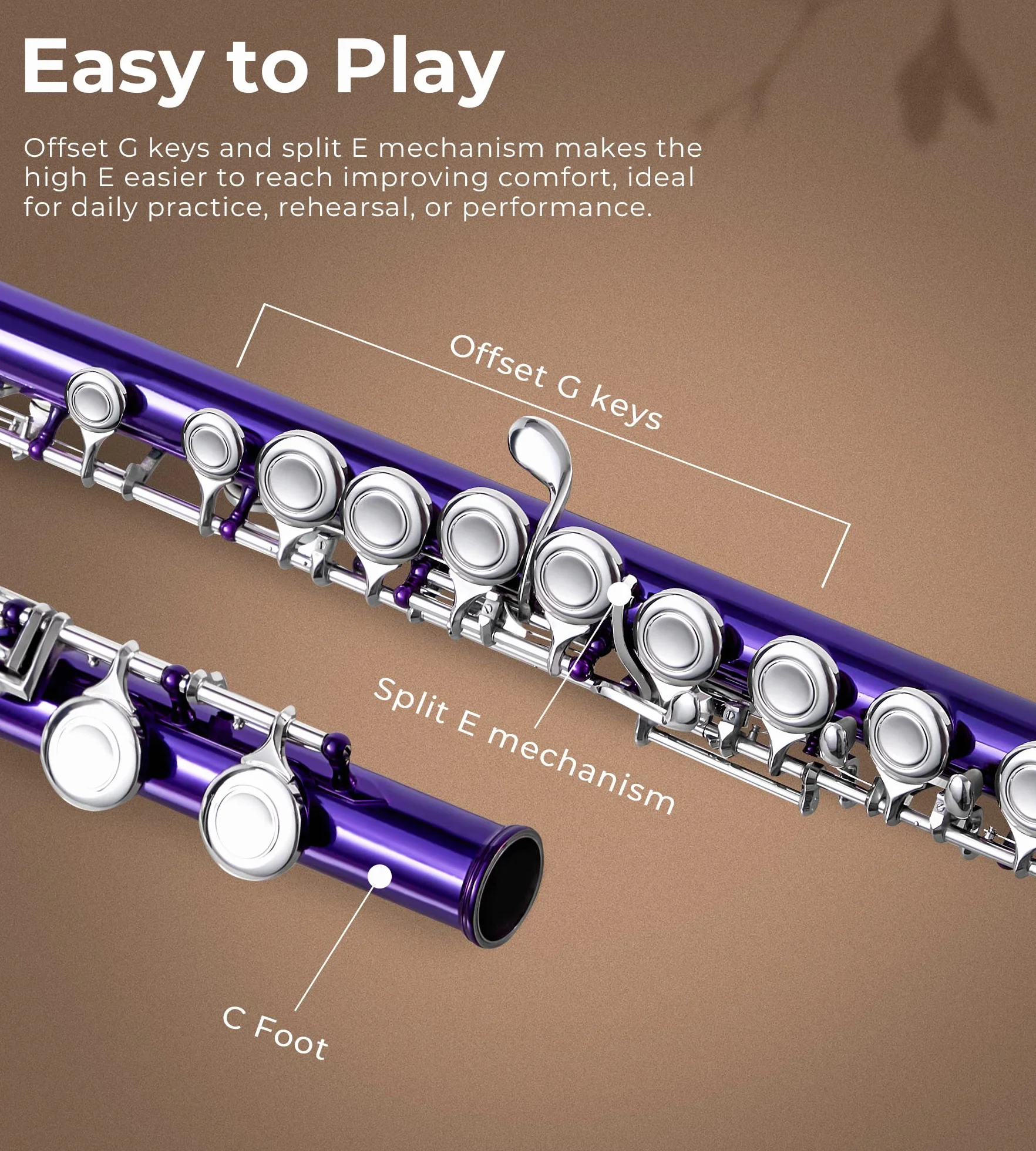 Vangoa Nickel Foro Chiuso 16 Tasti di C Studente Principiante Flauto per bambini Set di Strumenti Musicali con Custodia per il Trasporto Guanti per Supporto Asta di Pulizia e Panno,Viola