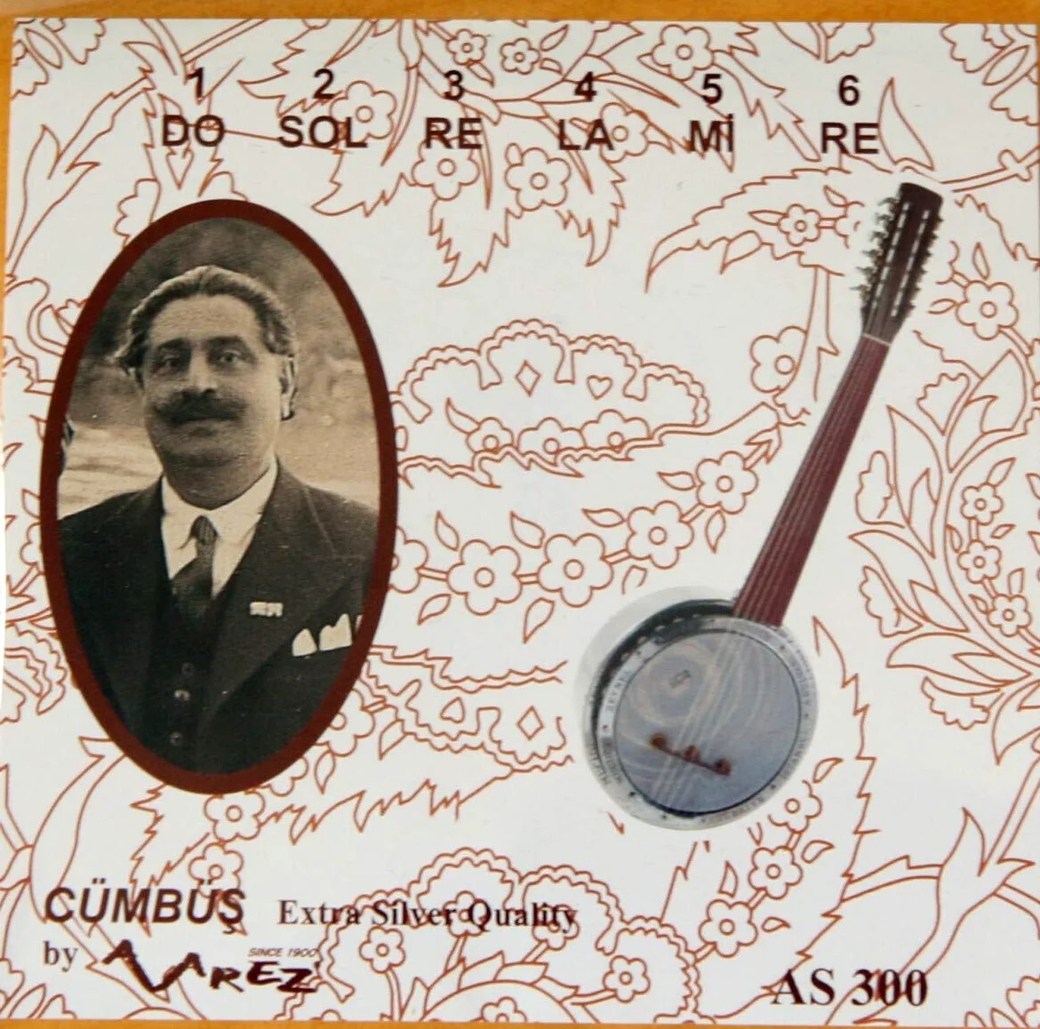 Corde Oud Ud, un originale set completo di 12 corde