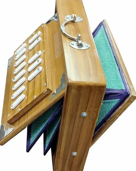Scatola Shruti in legno di teak, 30,5 cm, strumento musicale Shruti Box con borsa, Surpeti 440Hz sintonizzato