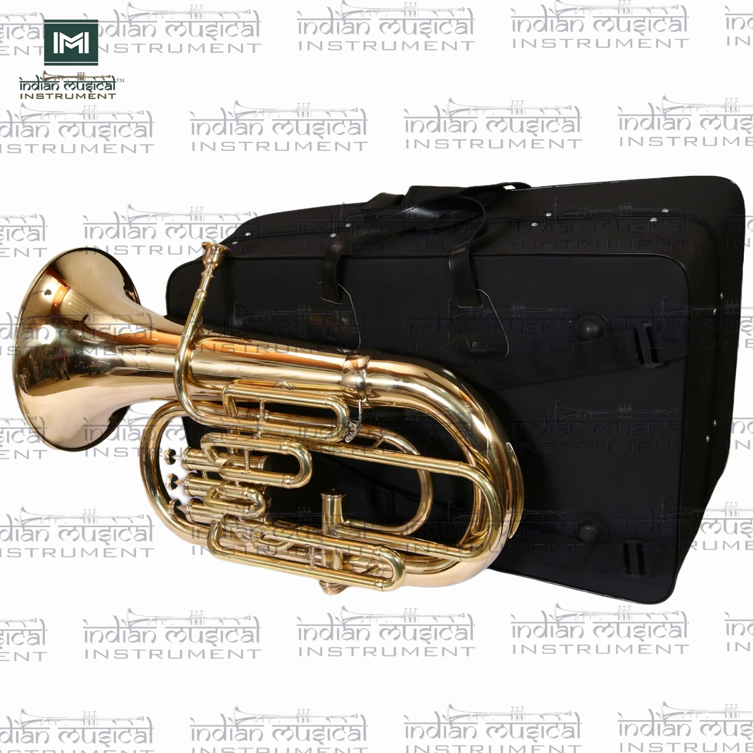 IMI EUPHONIUM 4 VALVOLA Strumento musicale con tutti gli accessori (ORO)
