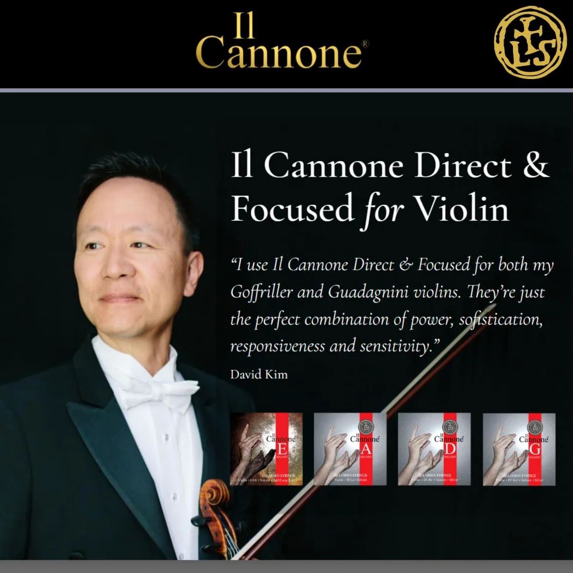LARSEN STRINGS Corde per violino II Cannone - Violino 4/4 - Soloist - Set 4 corde Direct & Focused, tensione 24,5 kg/53.9 lbs