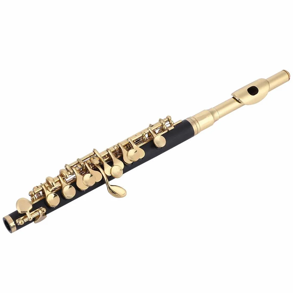 Tasto C Ottavino, Set Piccolo, con Scatola Imbottita Flauto di Mezza grandezza, per Bambini e Principianti e Musicisti Adulti(Golden)