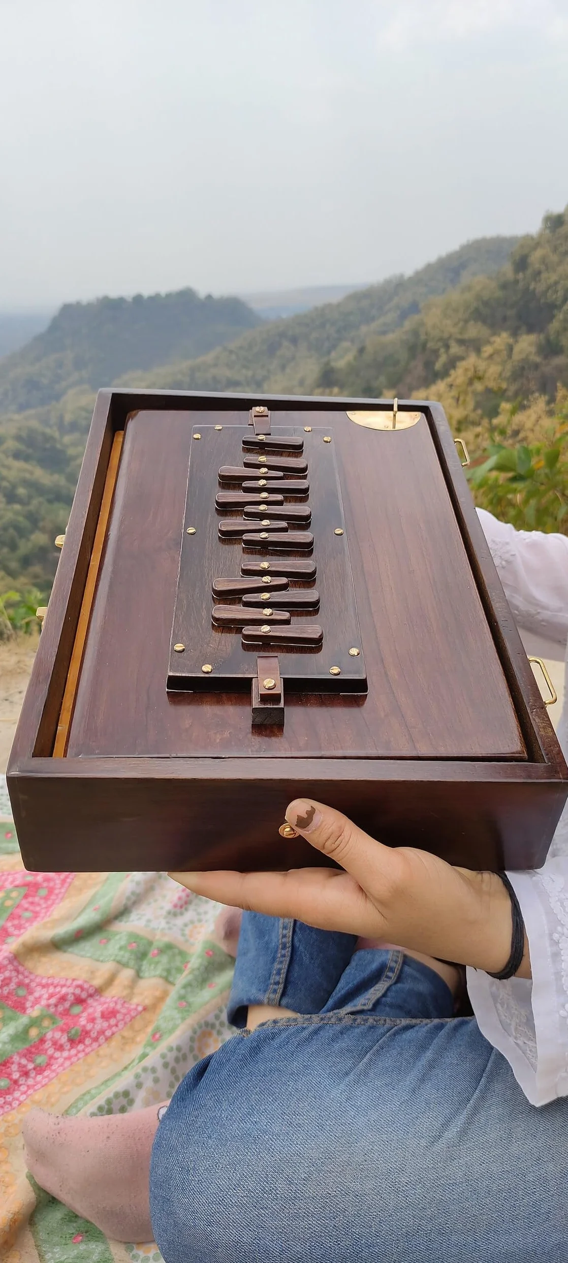 Premium Shruti Box con Espresso Color 440hz | Borsa imbottita per il trasporto/Realizzato in legno di teak/Strumento indiano | Scatola Shruti (432hz su richiesta)