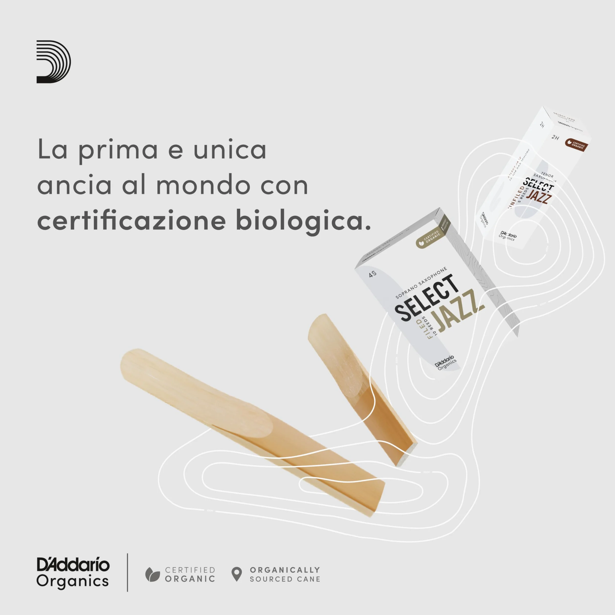 D'Addario Organic Select Jazz Filed Tenor Ance per Sassofono - Ance per Sax - La prima e unica Ancia Biologica - 3 Morbido, 5 Pacchetto
