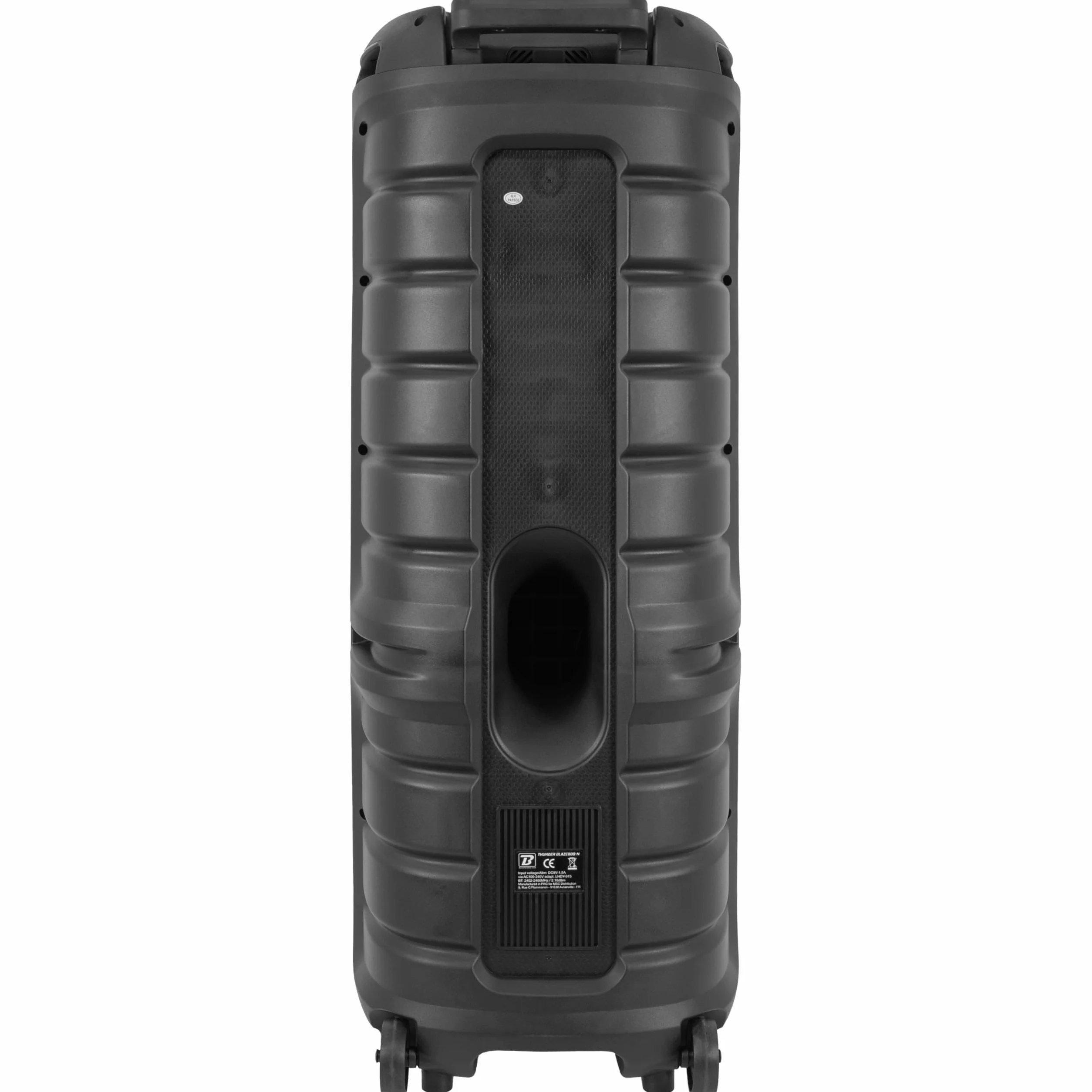 BoomTone DJ Thunder Blaze 800-N - Altoparlante attivo portatile 800 W con effetti luminosi, Bluetooth 5.0, lettore USB/SD, microfono incluso, batteria ricaricabile, ideale per DJ, feste, karaoke