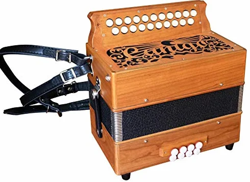 AC-CAN01 - Fisarmonica diatonica